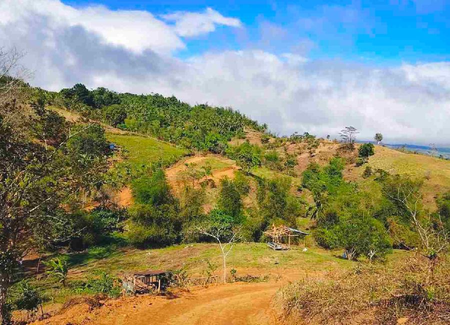Purok 1, Sampaloc, Tanay, Rizal image 3