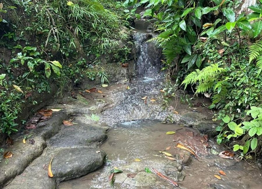 Mulanay, Quezon