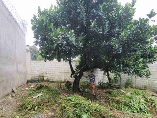 RUSH! Lot For Sale in Brixtonville Subdivision - 4.8M - Negotiable. Rush. Owner badly need cash.