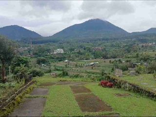 Tanah 1,6 hektar view gunung Area Bedugul Baturiti Tabanan Bali