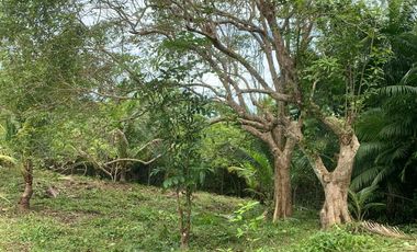 Prime Roadside Lot for Sale in Guiwanon, Baclayon, Bohol