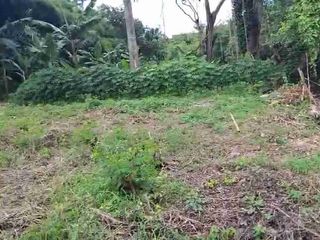 Lahan premium padang galak los Sungai SHM ready zona Pariwisata atau Pink lingkungan asri sangat bagus untuk Komplek villa komersil