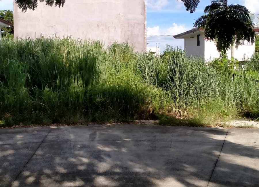 Amazon Street, Avida Woodhill Settings, Canlubang, Calamba, Laguna