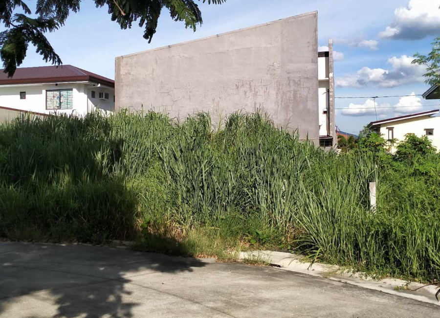 Amazon Street, Avida Woodhill Settings, Canlubang, Calamba, Laguna image 2