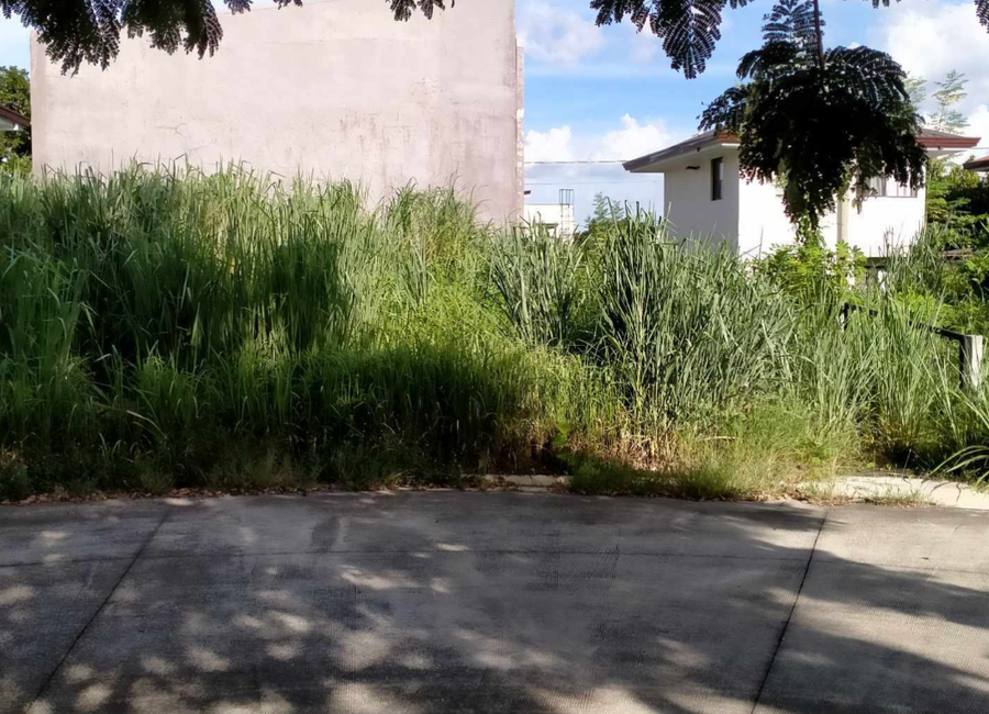 Amazon Street, Avida Woodhill Settings, Canlubang, Calamba, Laguna image 3