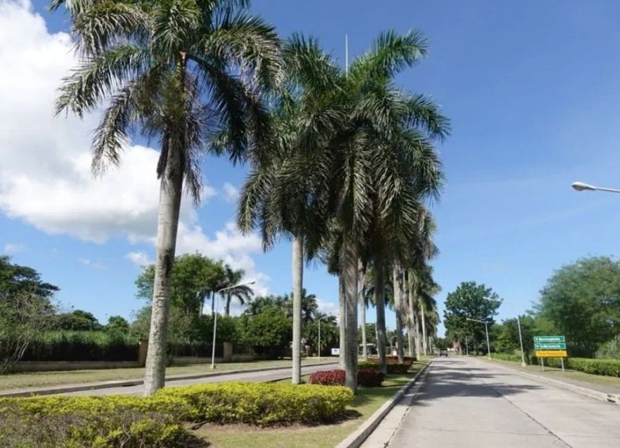 Morningfields, Canlubang, Calamba, Laguna image 3