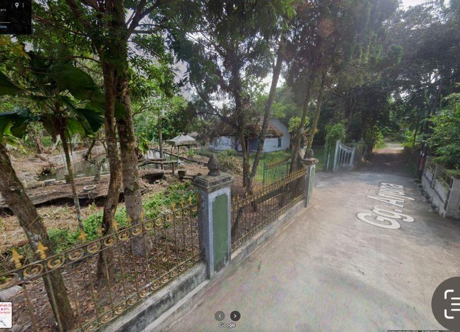 place photo 5