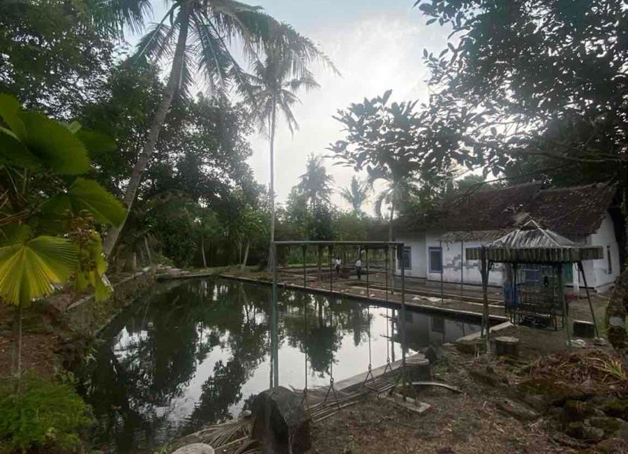 place photo 9