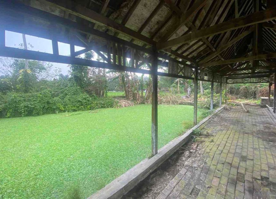 place photo 11