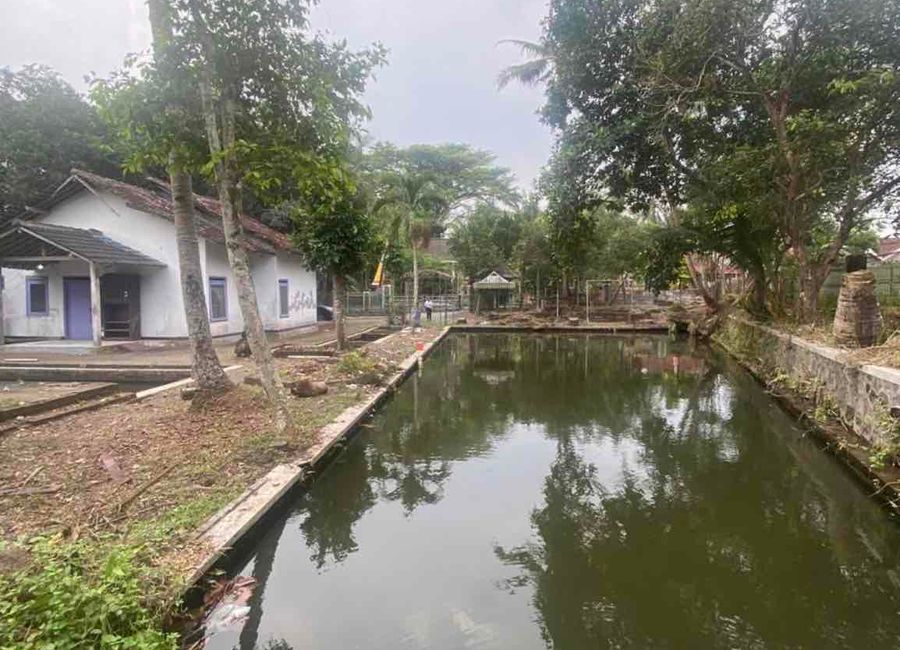 place photo 13