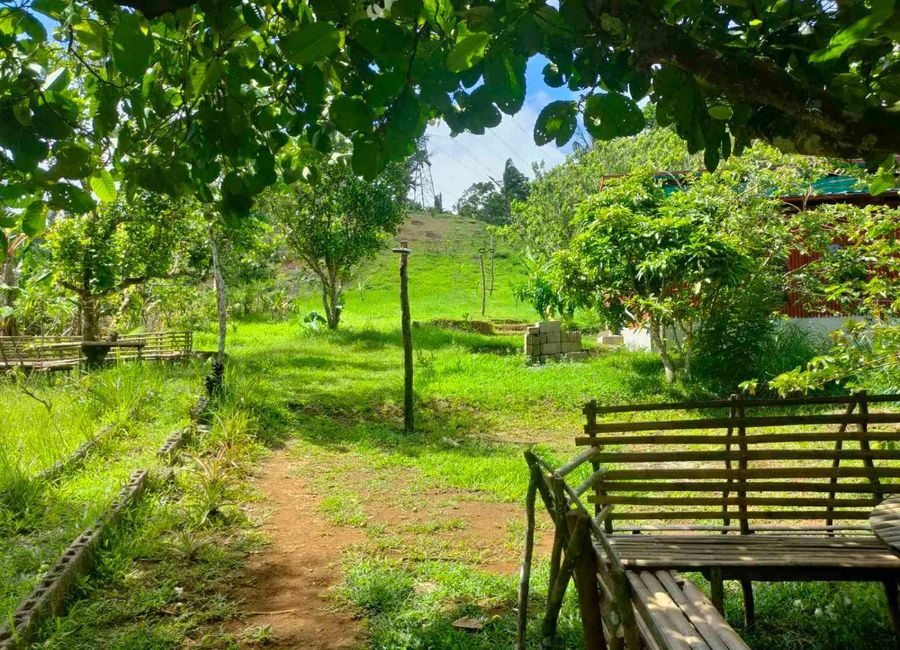 Papatahan, Paete, Laguna