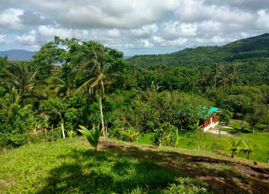 Papatahan, Paete, Laguna image 3