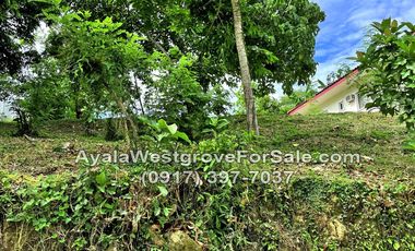 Ayala Westgrove Heights Silang Cavite 521 sqm Lot for Sale