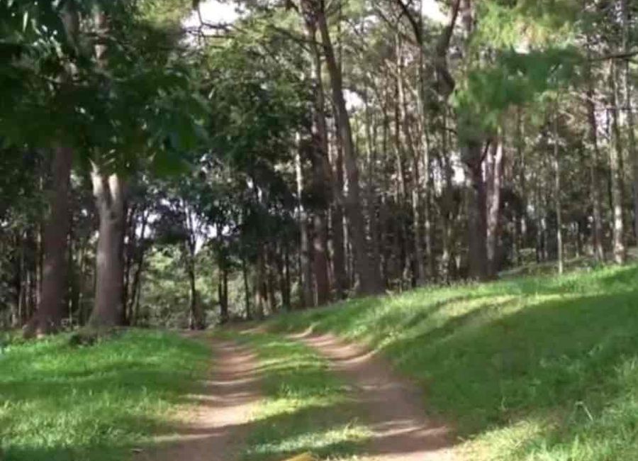 Purok 1, Sampaloc, Tanay, Rizal