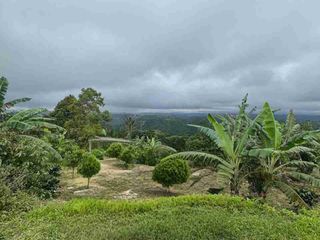 Lahan view indah plaga petang 6 are SHM