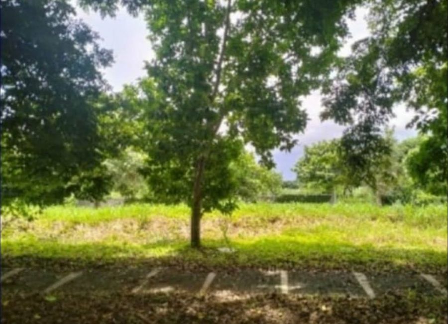 Abrio Nuvali, Santo Domingo, Santa Rosa, Laguna