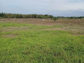 Rawland For Sale Tanza Cavite 3500/sqm