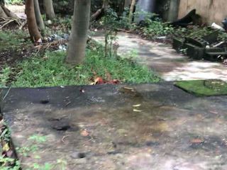 Lot and House and lot for sale