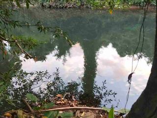 2 Lots Near Busuanga International Airport