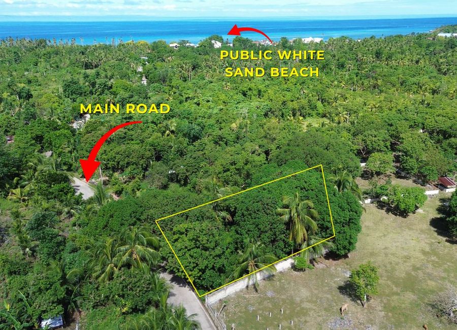 place photo 5