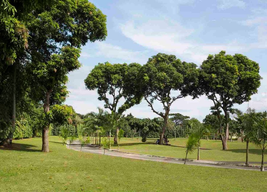 place photo 19