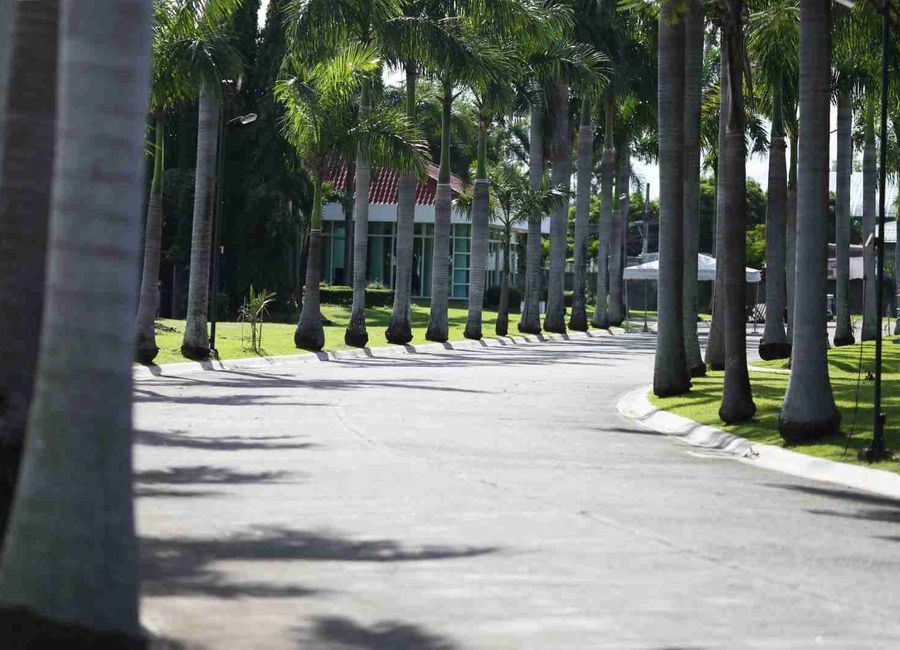 place photo 22