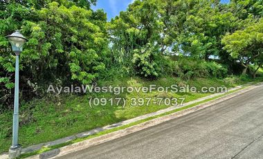 Ayala Westgrove Heights Silang Cavite 464 sqm Lot for Sale