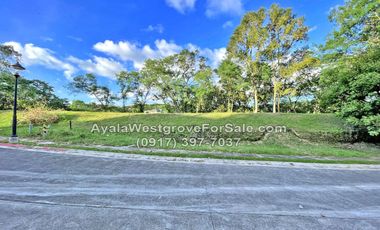 Ayala Westgrove Heights Silang Cavite 444 sqm Lot for Sale