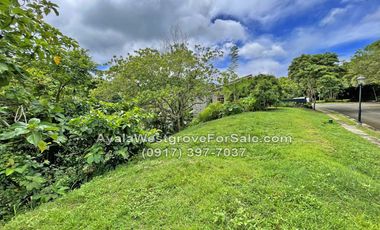 Ayala Westgrove Heights Silang Cavite 370 sqm Lot for Sale