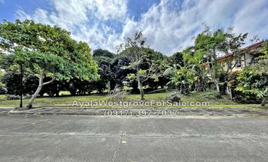 Ayala Westgrove Heights Silang Cavite 476 sqm Lot for Sale