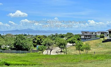 Ayala Westgrove Heights Silang Cavite 421 sqm Lot for Sale