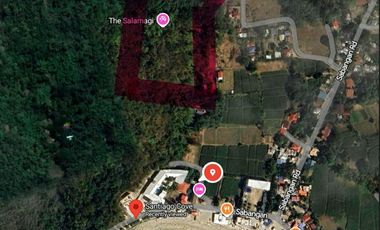 For Sale 2.98 Hectare Beach Lot in Santiago, Ilocos Sur