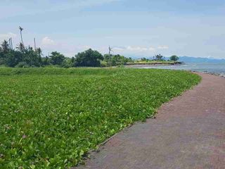 Tanah Murah Los Pantai Ketewel 1975m2 SHM