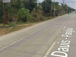 Commercial Lot For Sale in the Heart of Panglao ,Island!