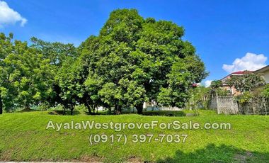 Ayala Westgrove Heights Silang Cavite 541 sqm Lot for Sale