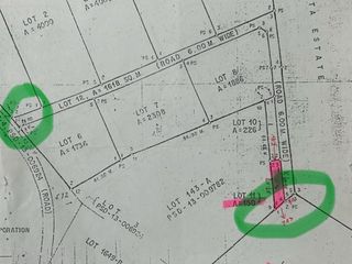 FOR SALE - Industrial Lot inside and Industrial Compound in Lawang Bato, Valenzuela City