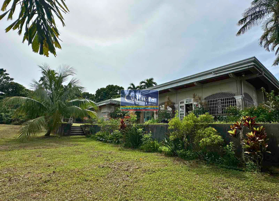 Luksuhin-Mangas Road, Purok 2, Mangas I, Esperanza Ibaba, Alfonso, Cavite image 3