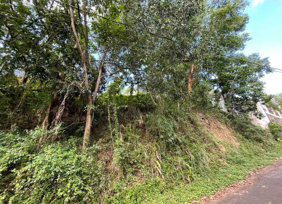 Thyme Street, Mandala South, Timberland Heights, San Mateo, Rizal image 3