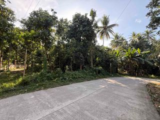 Valencia Land For Sale with Lanzones