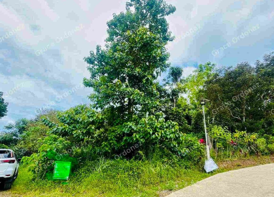 Kay Buto, Tanay, Rizal