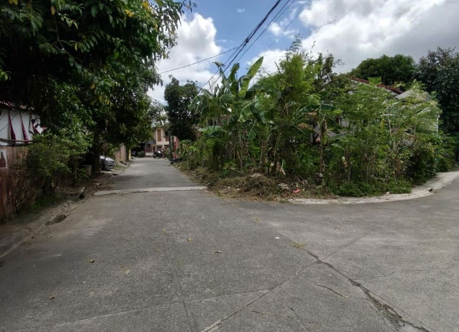 Bagumbayan, Teresa, Rizal image 2