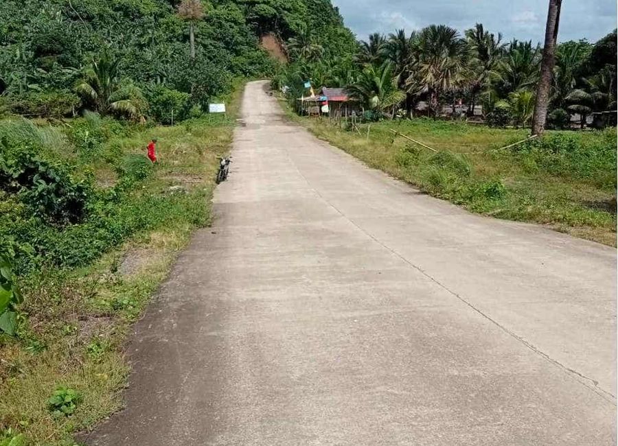 Mauban, Quezon image 2
