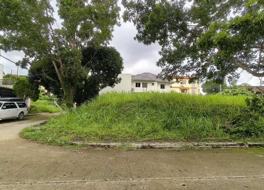 Mt. Taal Street, Sabang, Lipa, Batangas image 2