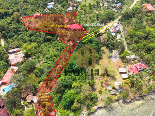 7,110 sqm Cliffside Beach Property with Bungalow for Sale - Panglao, Bohol