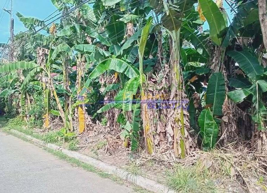 A. Bonifacio Avenue, Teachers Village, Santa Rosa, Cainta, Rizal image 2