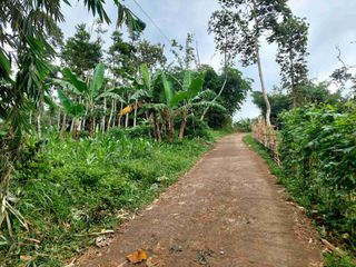 Tanah kebun SHM, pinggir jakan desa Mekarsari