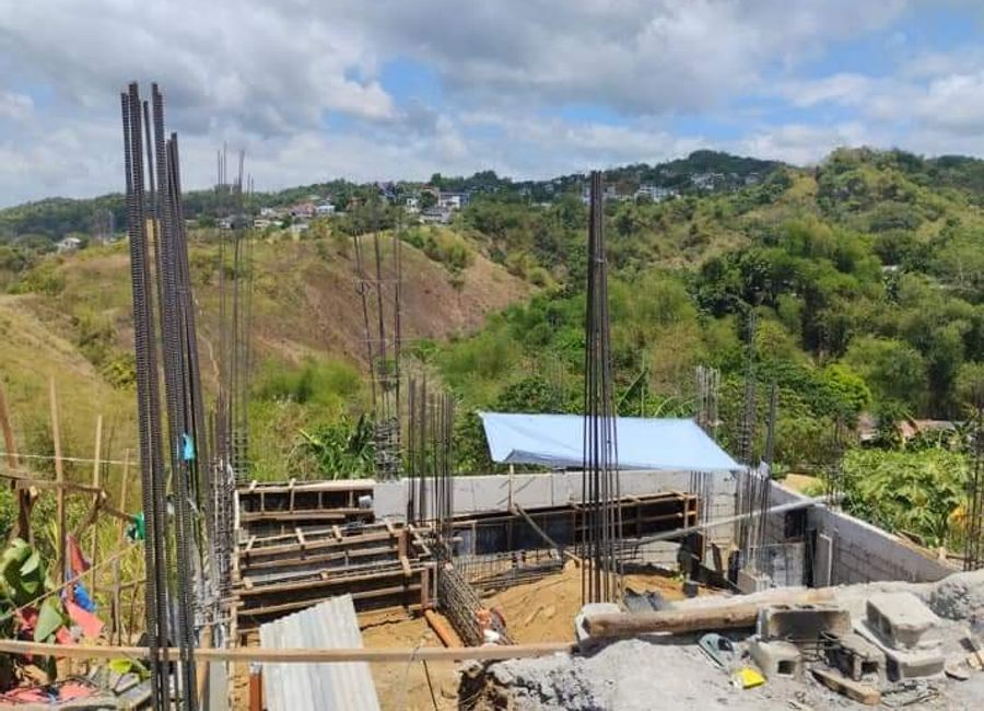 Our Lady of Lourdes Subdivision, Cupang, Antipolo, Rizal image 2