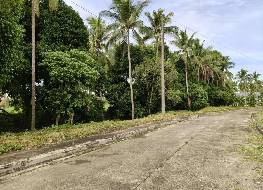 B. Reyes Street, Purok 1, Latag, Latag, Lipa, Batangas image 3