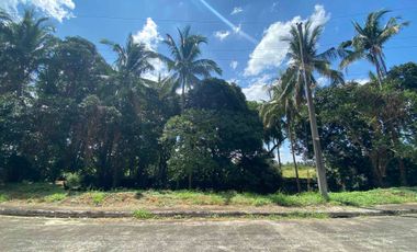 Tierra Vista Subd. Lipa City Batangas lots for, Pag-ibig Financing