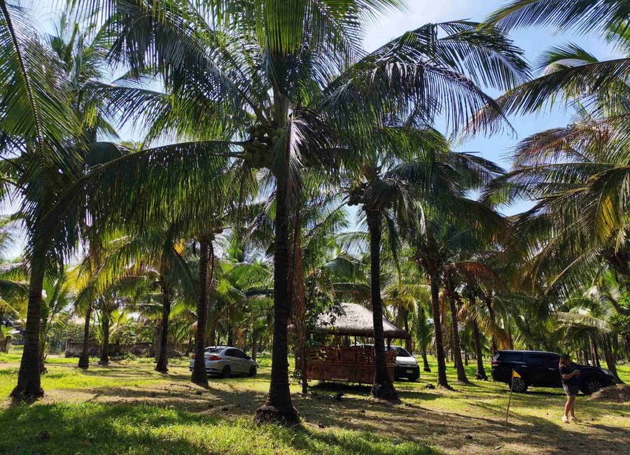 Buenavista East, Candelaria, 2nd District, Quezon image 3